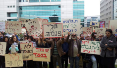קישור לכתבה