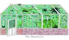 איגוד הבמאים מזמין אתכם ל- 'חממת פיתוח פרויקטים דוקומנטרים'