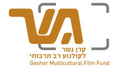 קישור לכתבה
