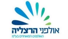 קישור לכתבה